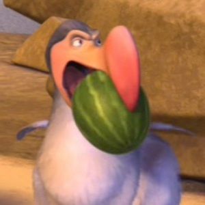 Meet your Posher, Bryce